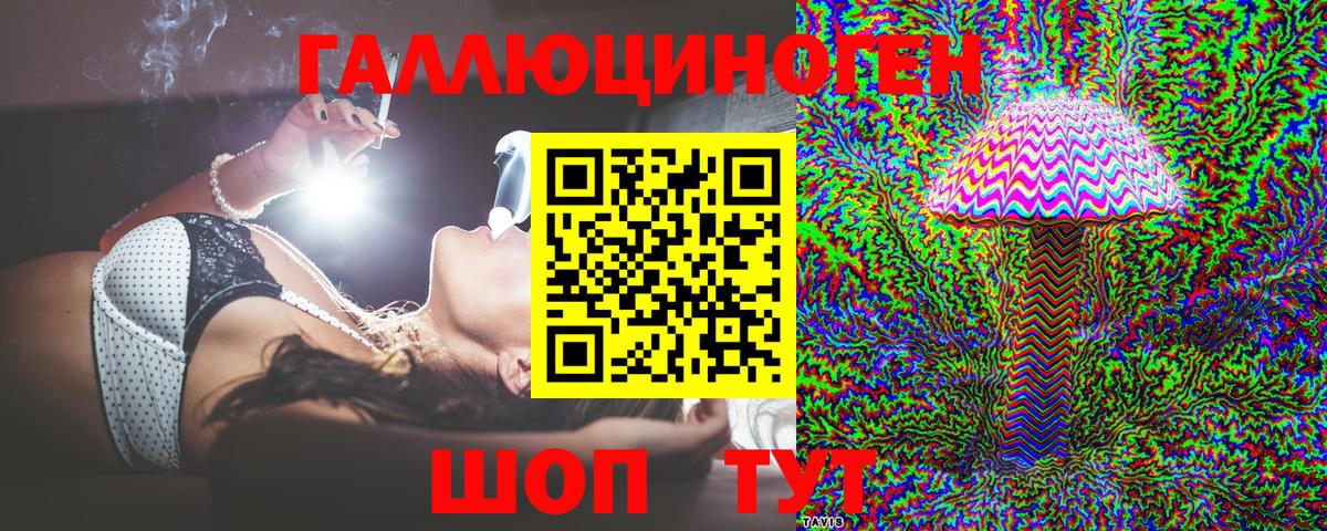 Псилоцибиновые грибы Psilocybe Махачкала