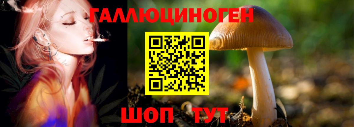 Махачкала  Псилоцибиновые грибы ЛСД  Вход с VPN 